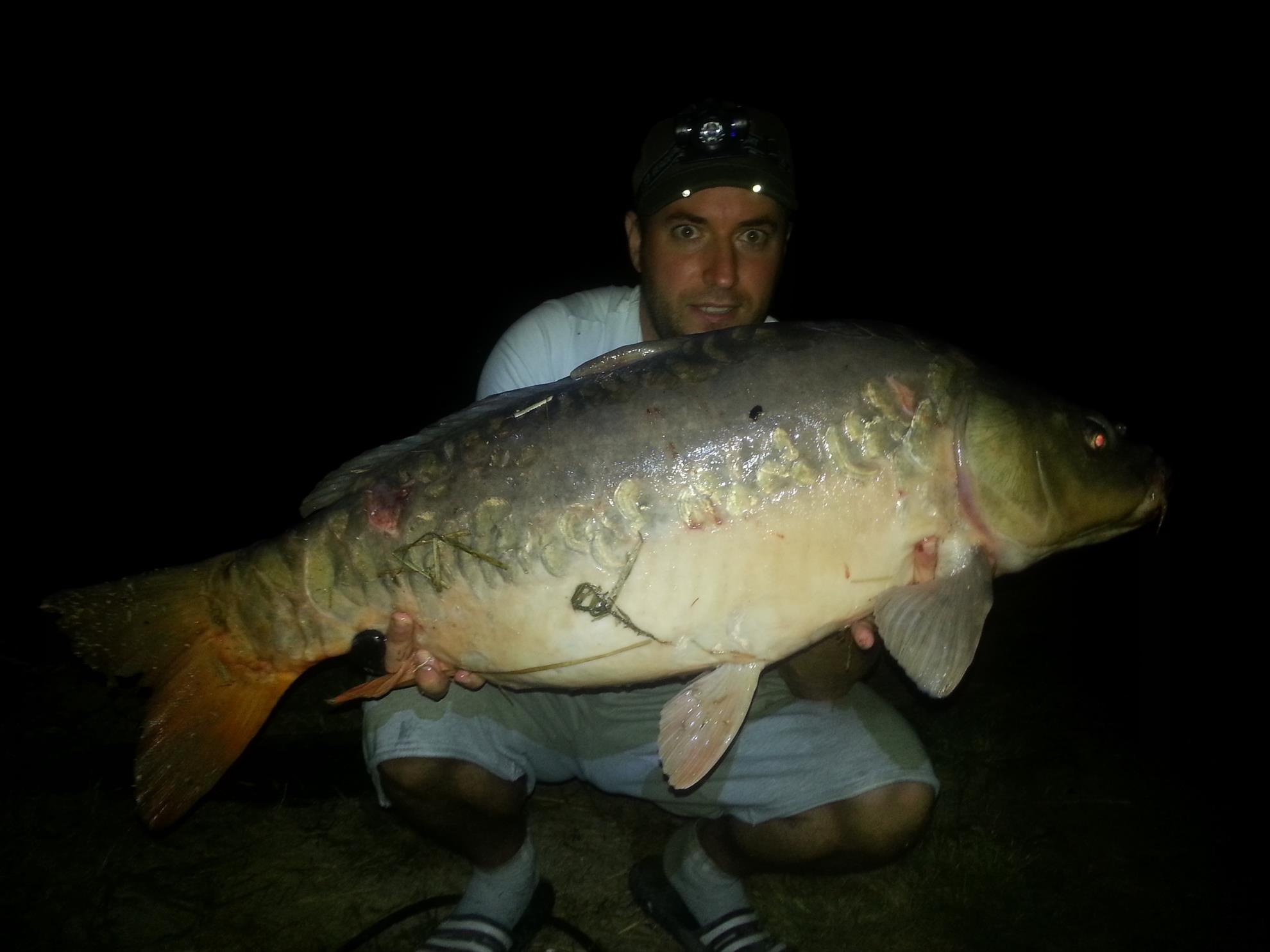 hermes peris 12.09.2014 - 17.120